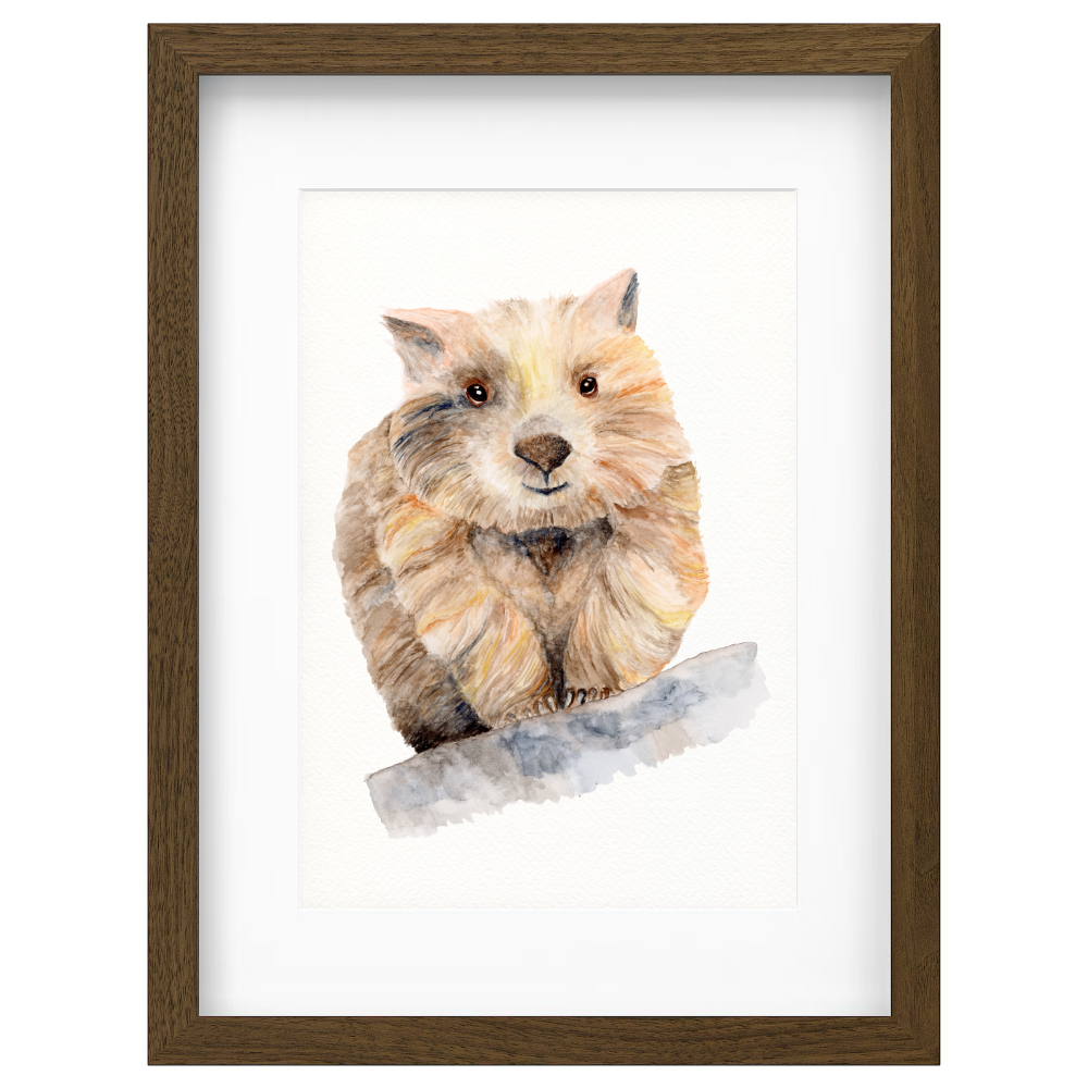 Steve - Image 3