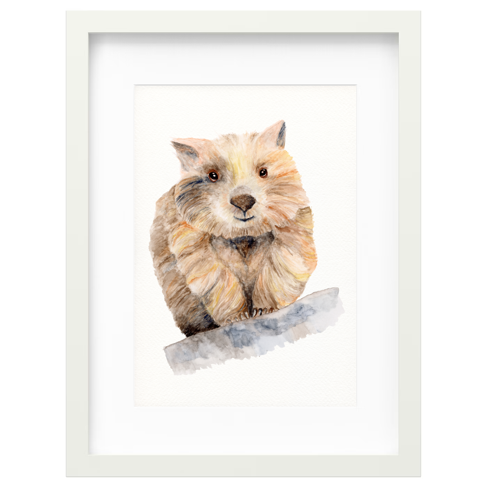 Steve - Image 5