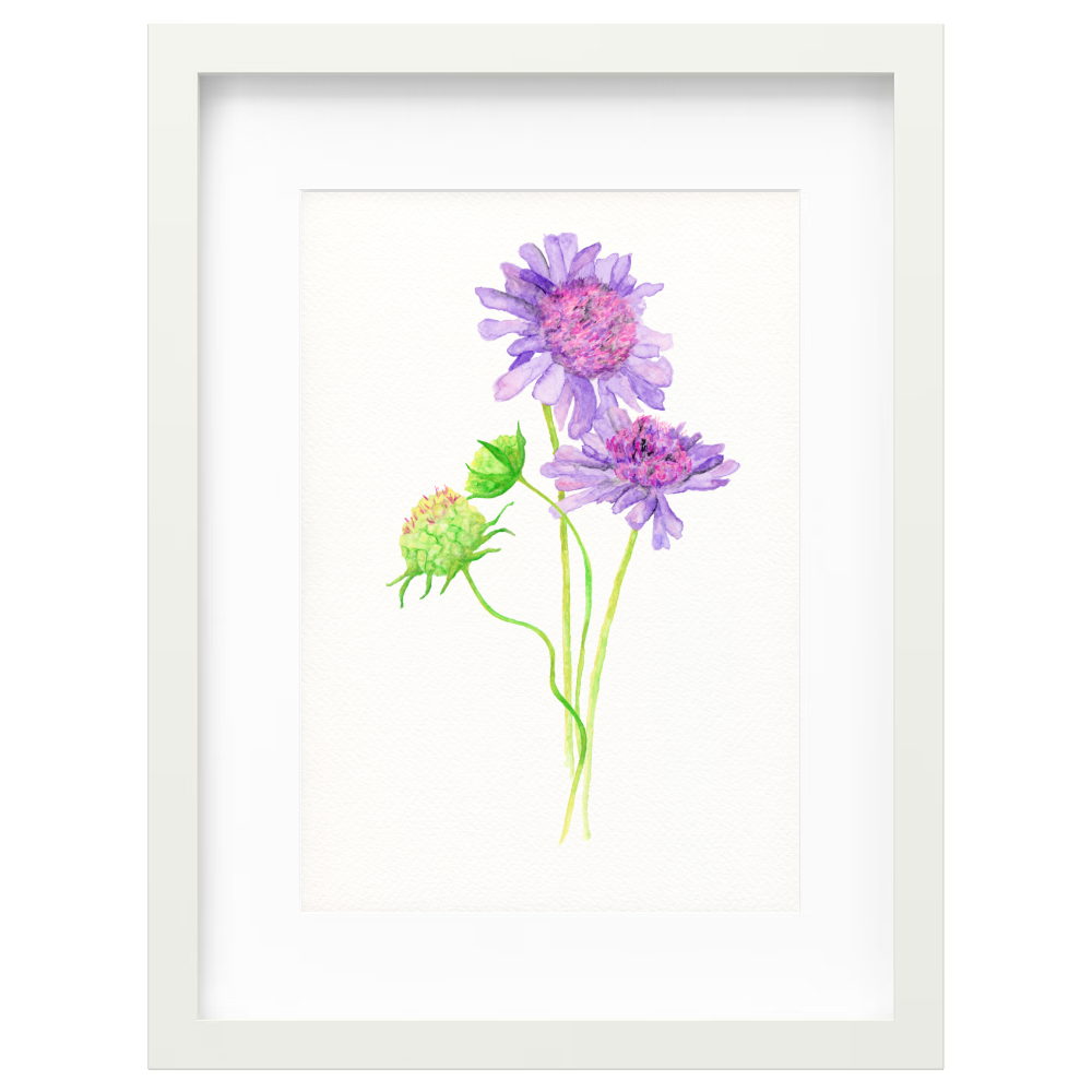 Australian Flora - Image 5