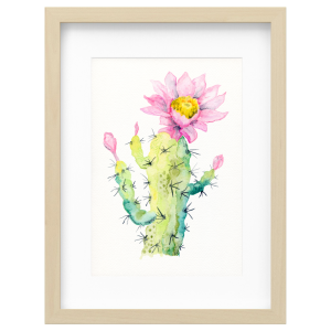 Cactus Flower