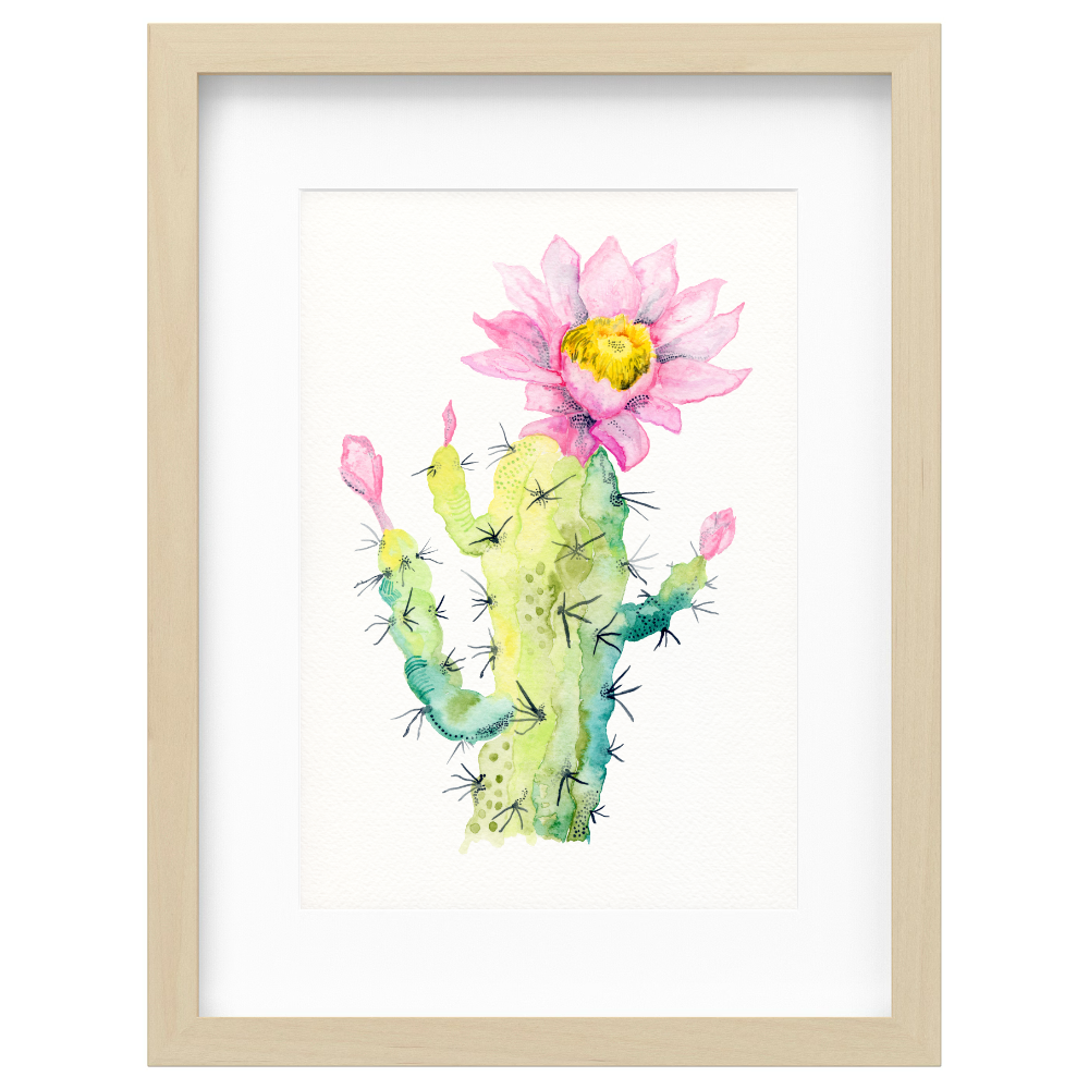 Cactus Flower