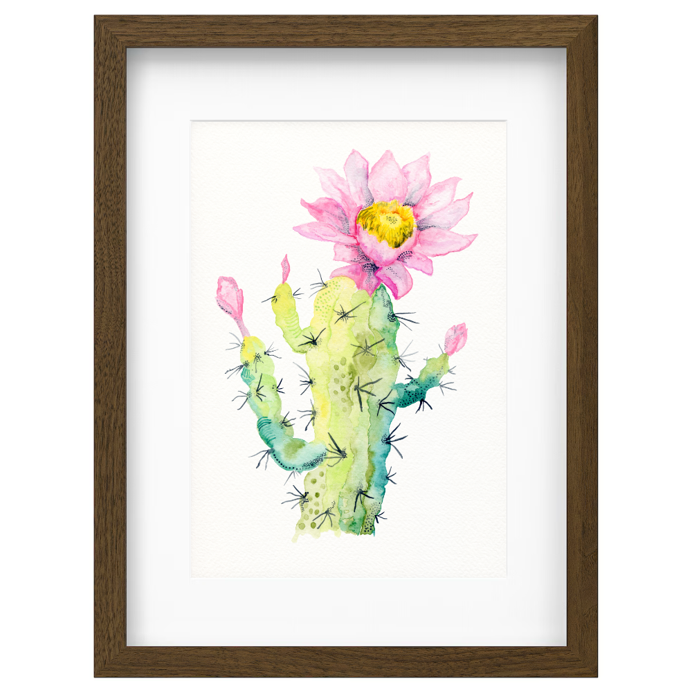 Cactus Flower - Image 2