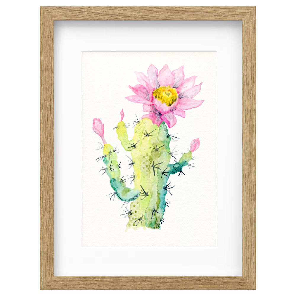 Cactus Flower - Image 3
