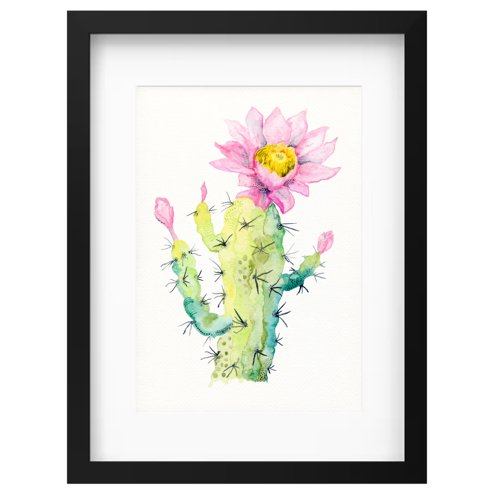Cactus Flower - Image 4