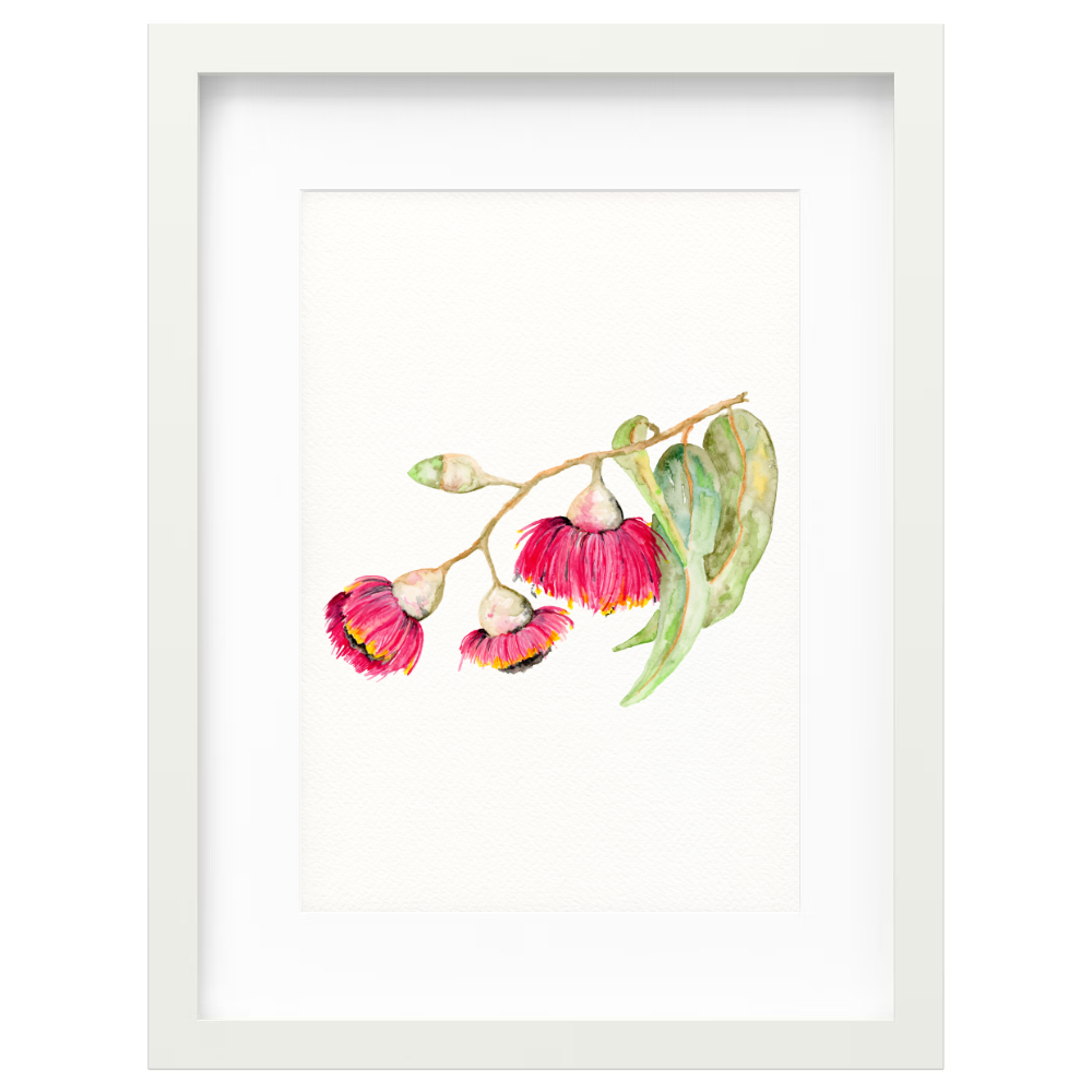 Flowering Gum - Image 5