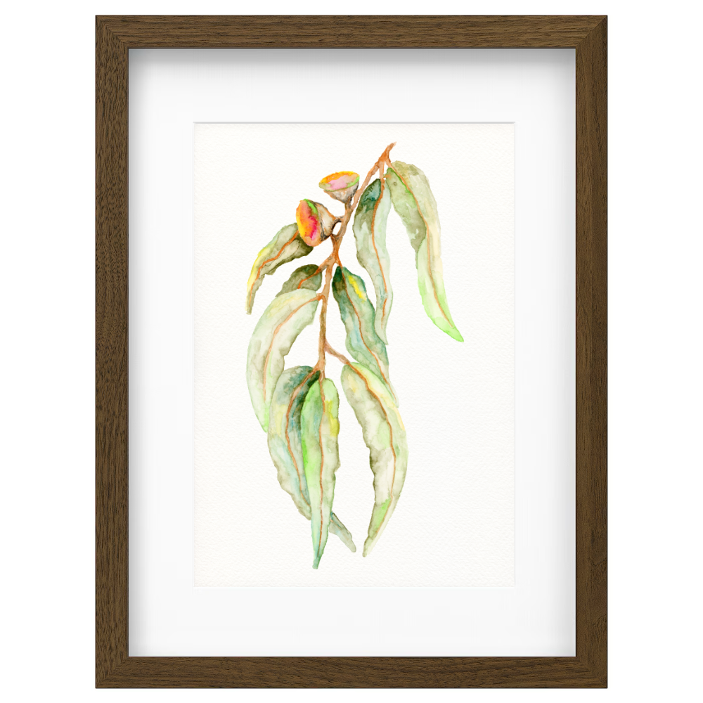 Gum Leaf - Image 2