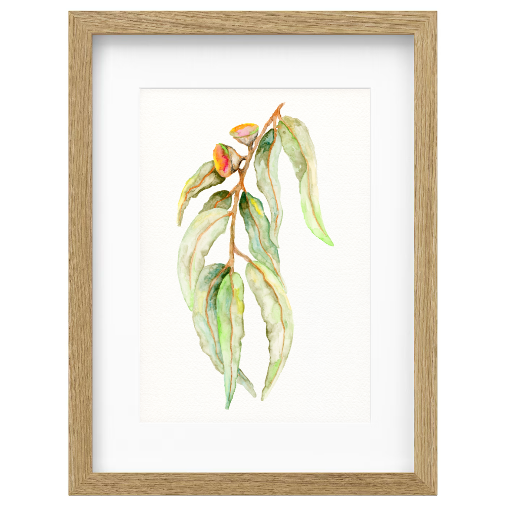 Gum Leaf - Image 3