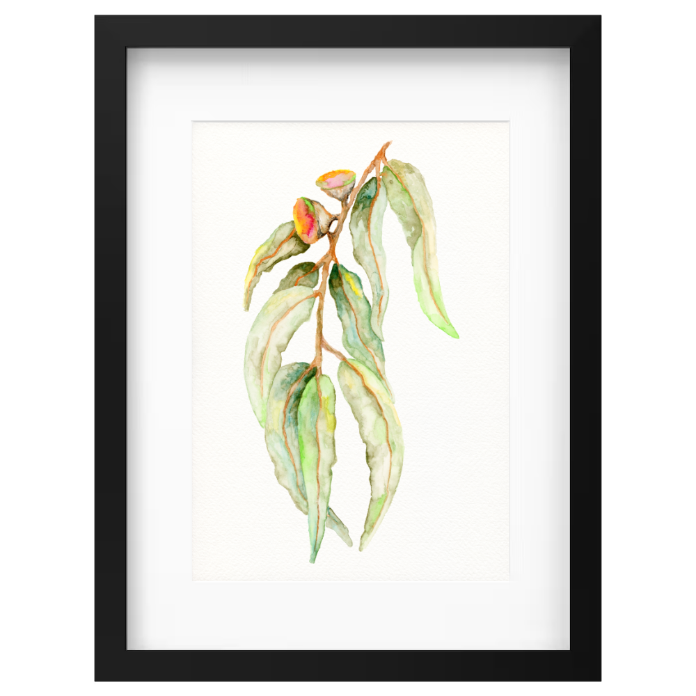 Gum Leaf - Image 4