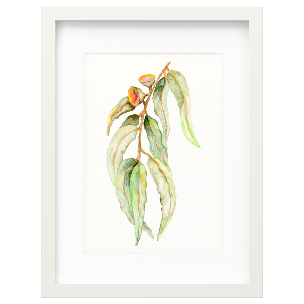 Gum Leaf - Image 5