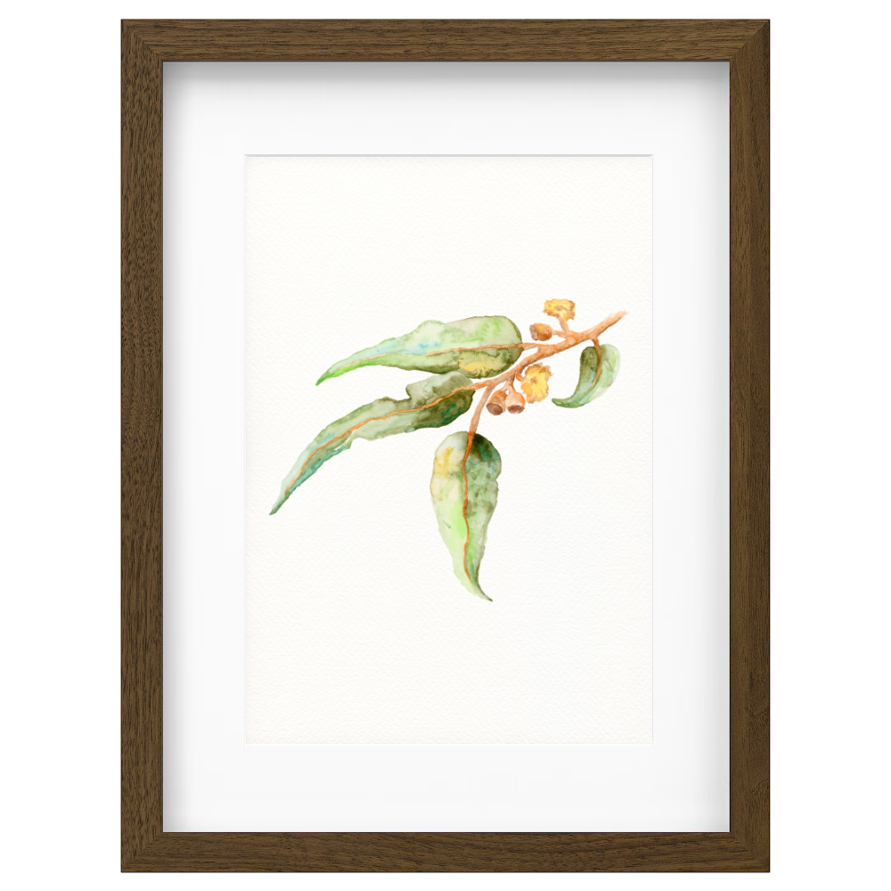 Gumnut - Image 2