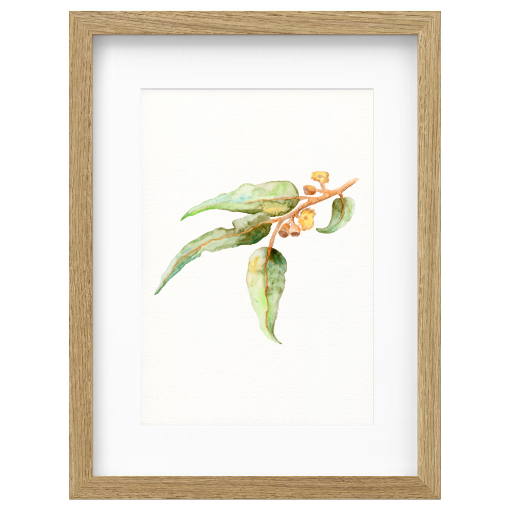Gumnut - Image 3