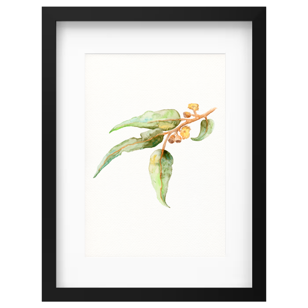 Gumnut - Image 4