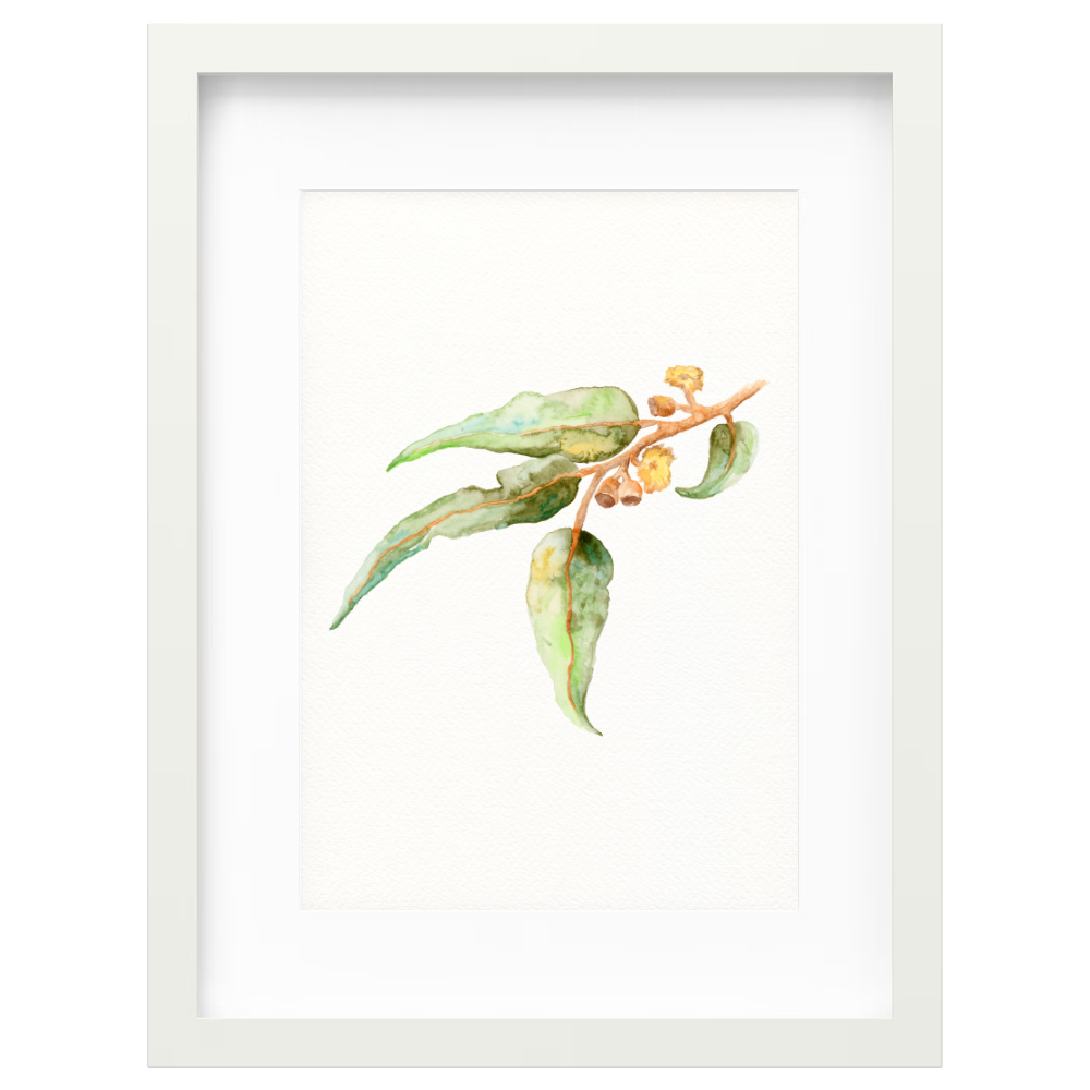 Gumnut - Image 5
