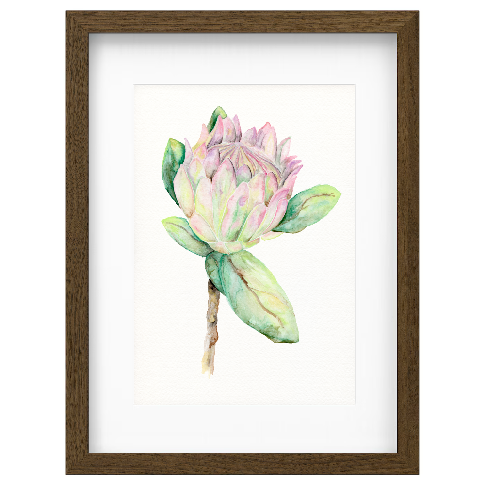 Protea - Image 2