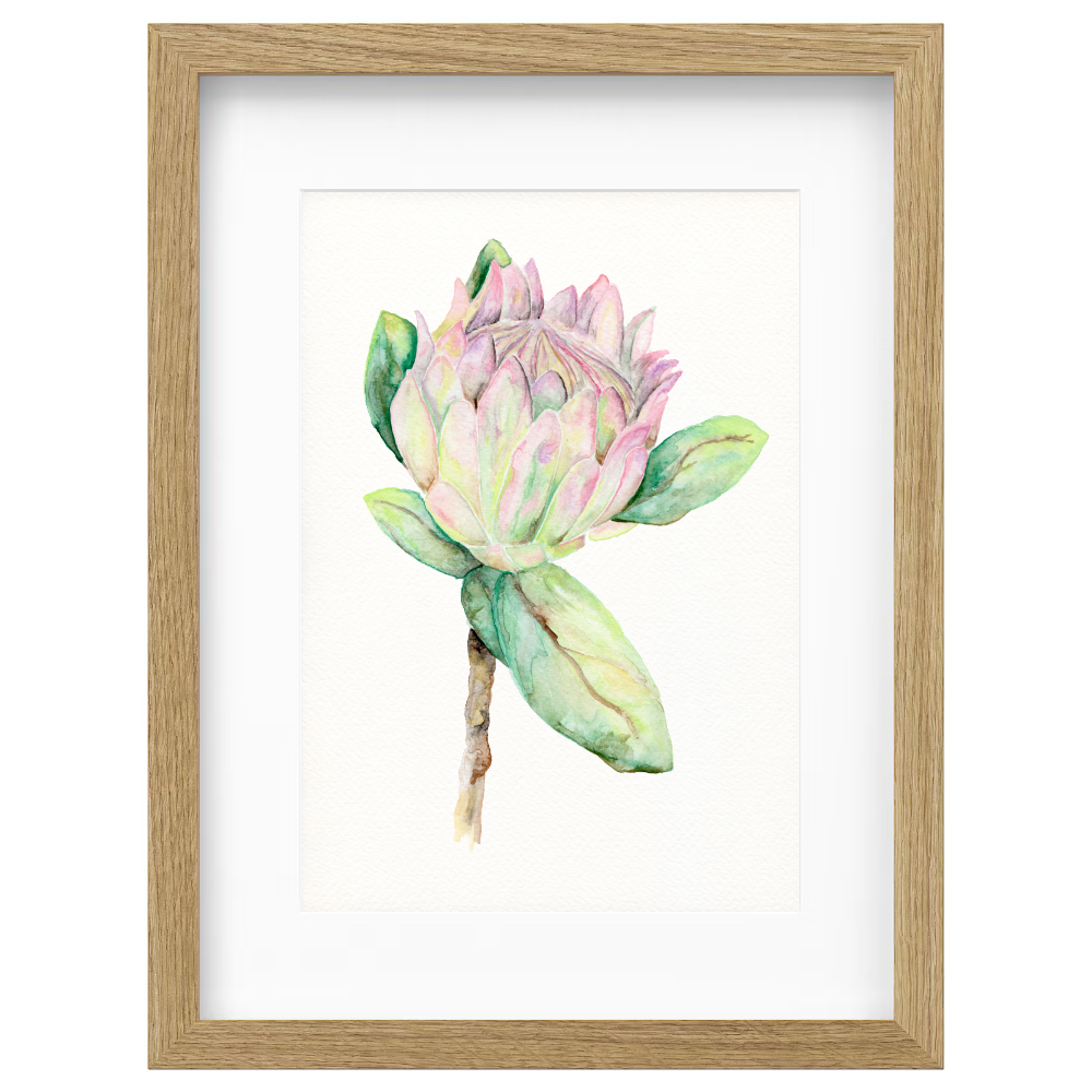 Protea - Image 3