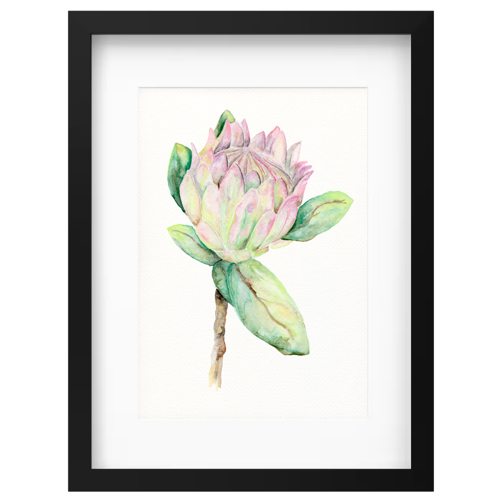 Protea - Image 4