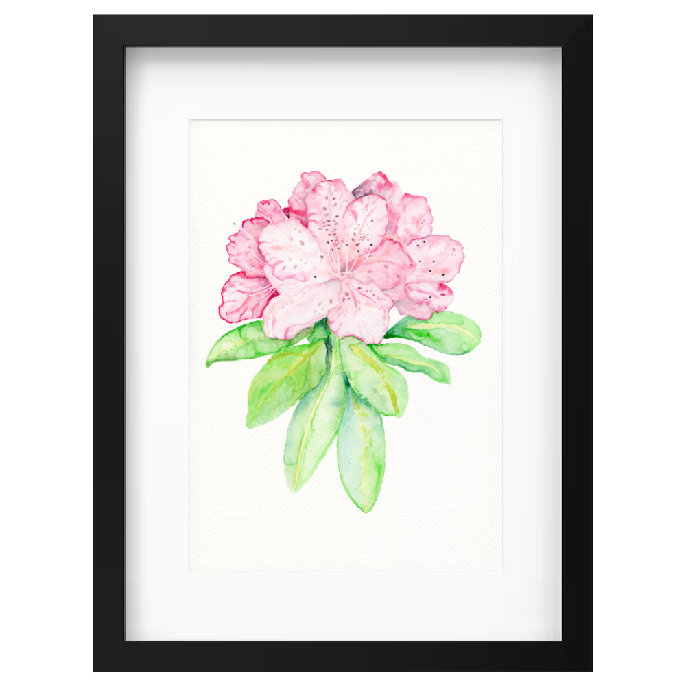 Pink Rhododendron - Image 4