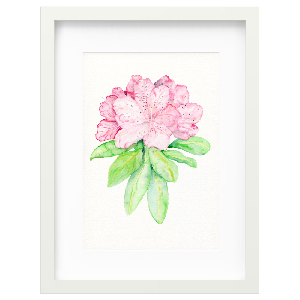 Pink Rhododendron - Image 5