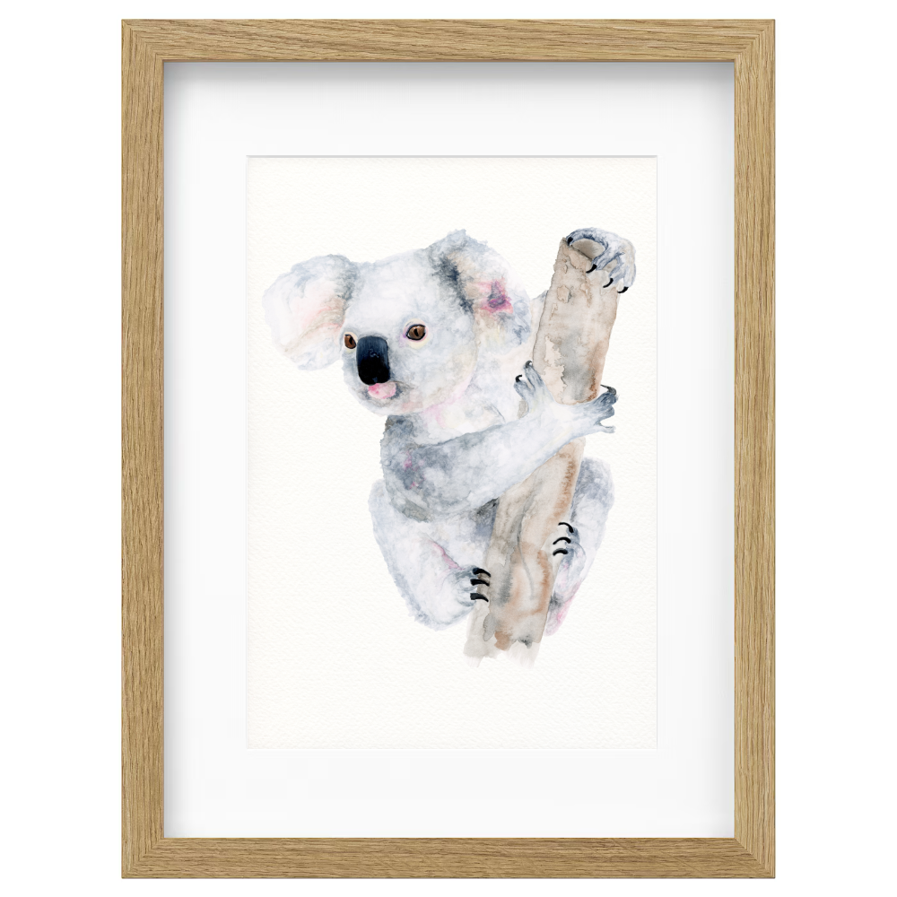 Tilly - Image 3