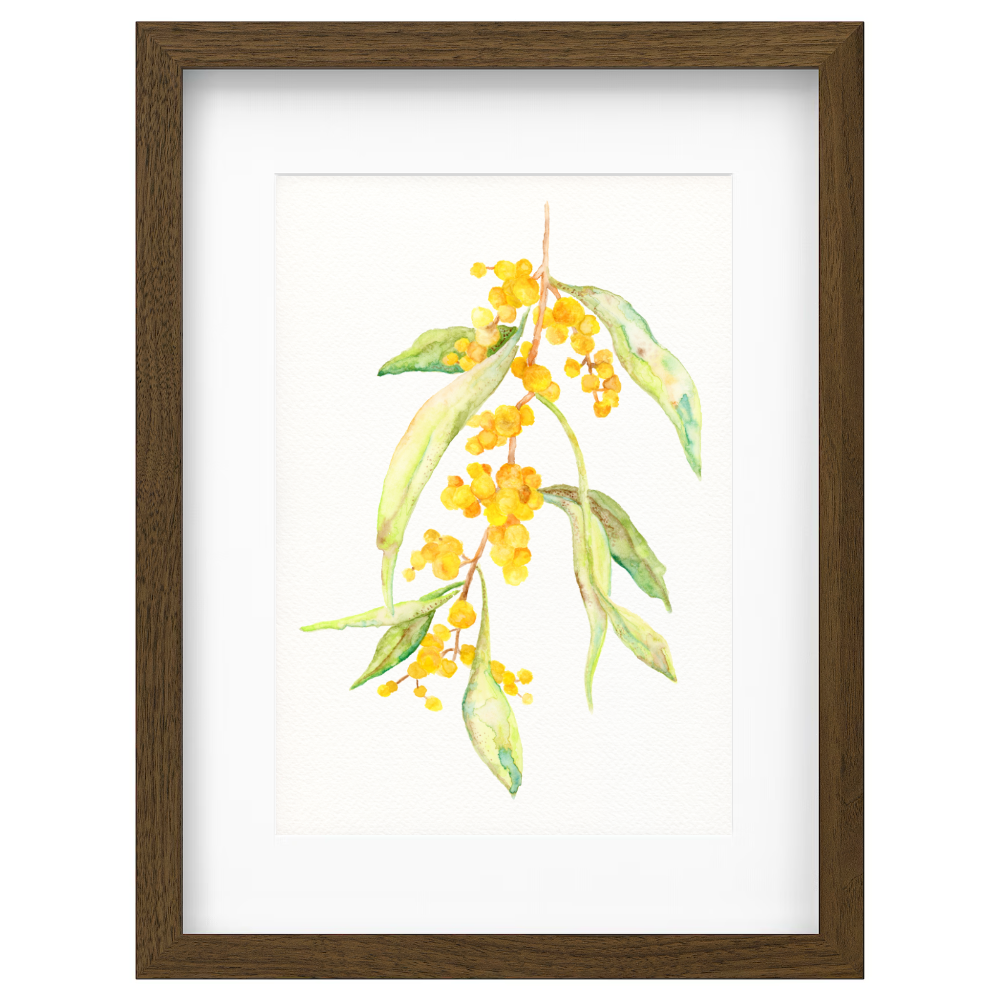 Wattle Branch - Image 2