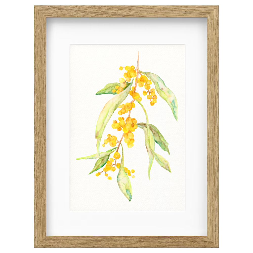 Wattle Branch - Image 3