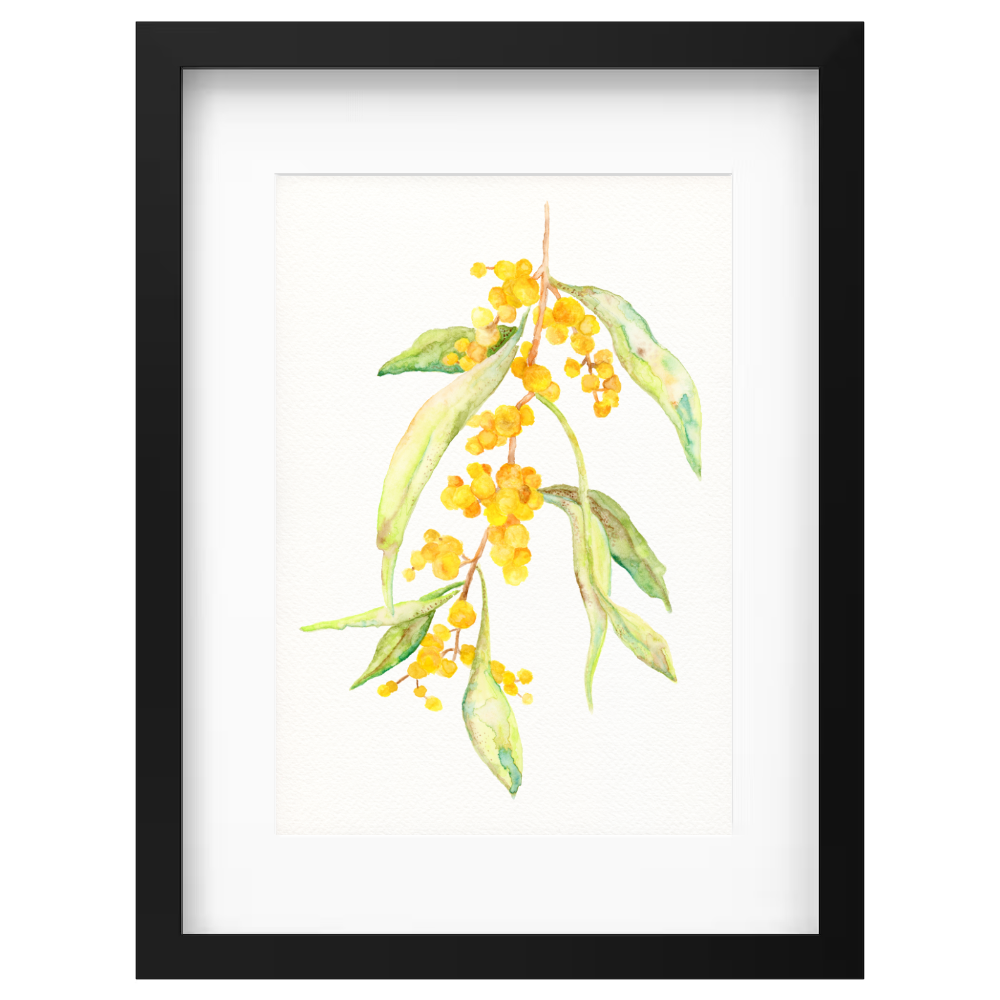 Wattle Branch - Image 4