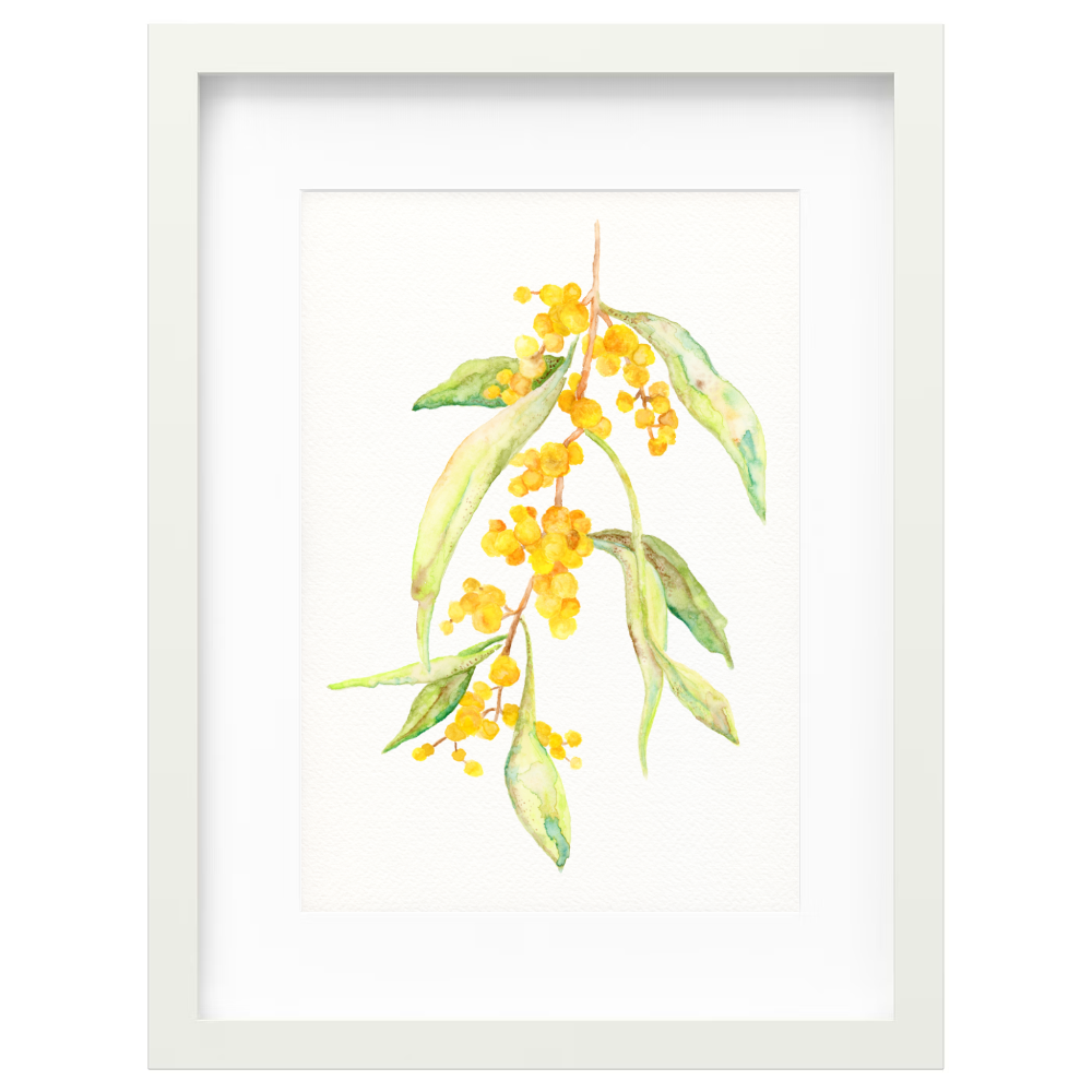 Wattle Branch - Image 5