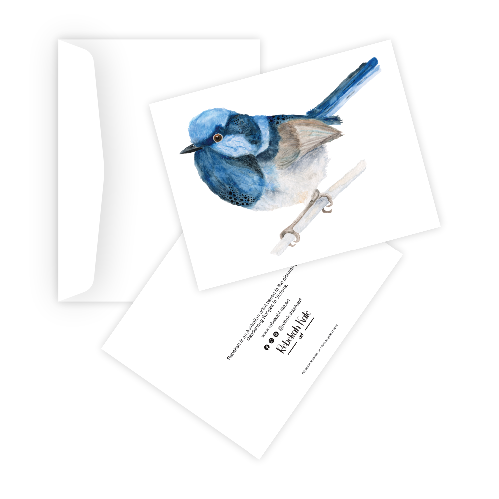 Bob the Blue Wren
