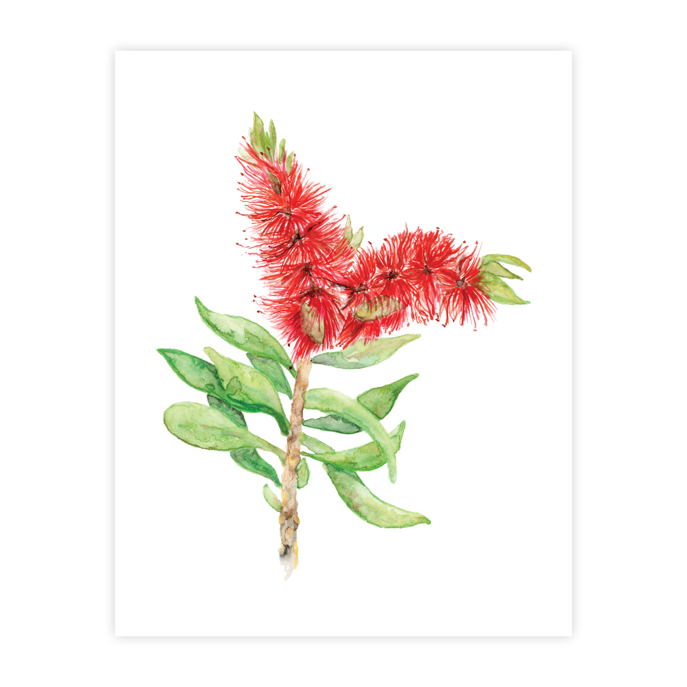 Bottle Brush - Image 2