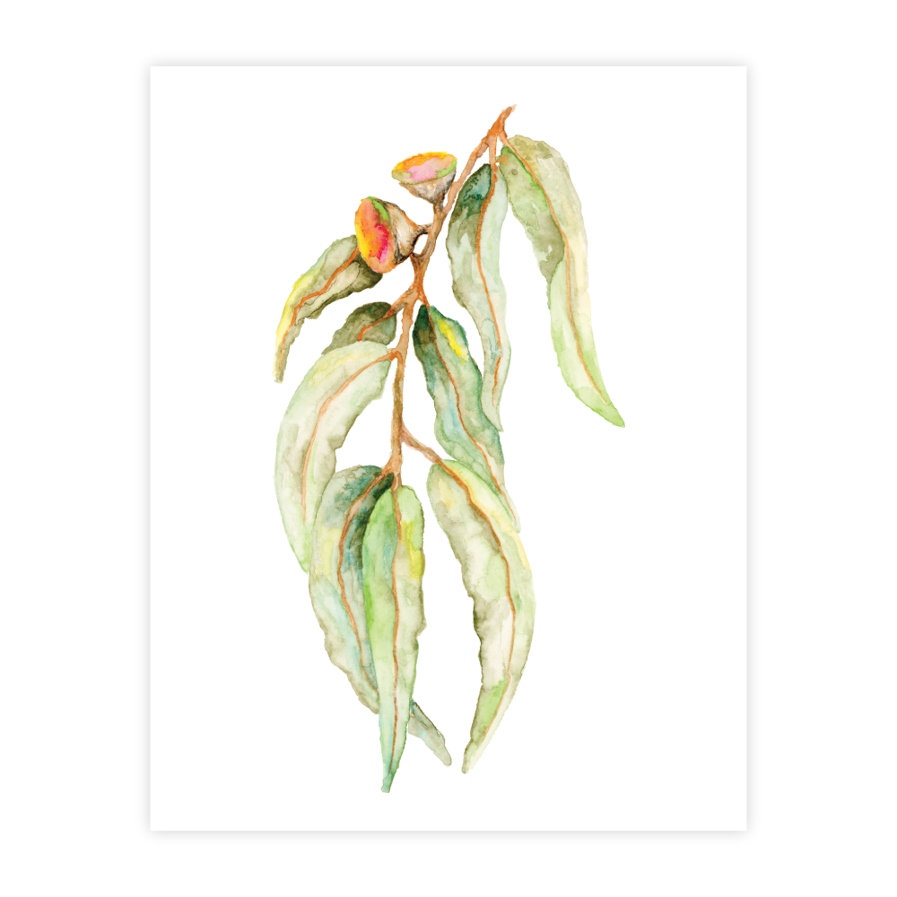 Gum Leaf - Image 2