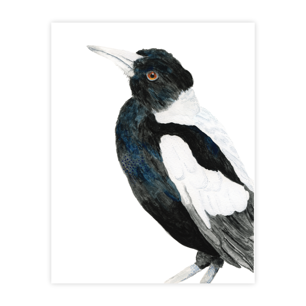 Jerald the Magpie - Image 2
