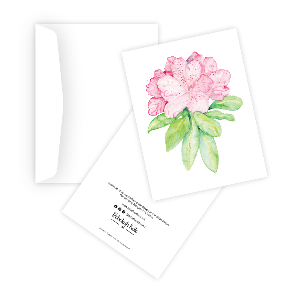 Pink Rhododendron