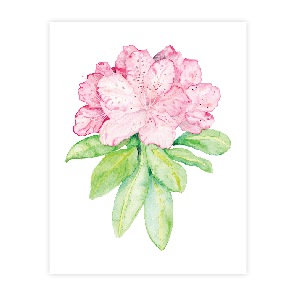 Pink Rhododendron - Image 2