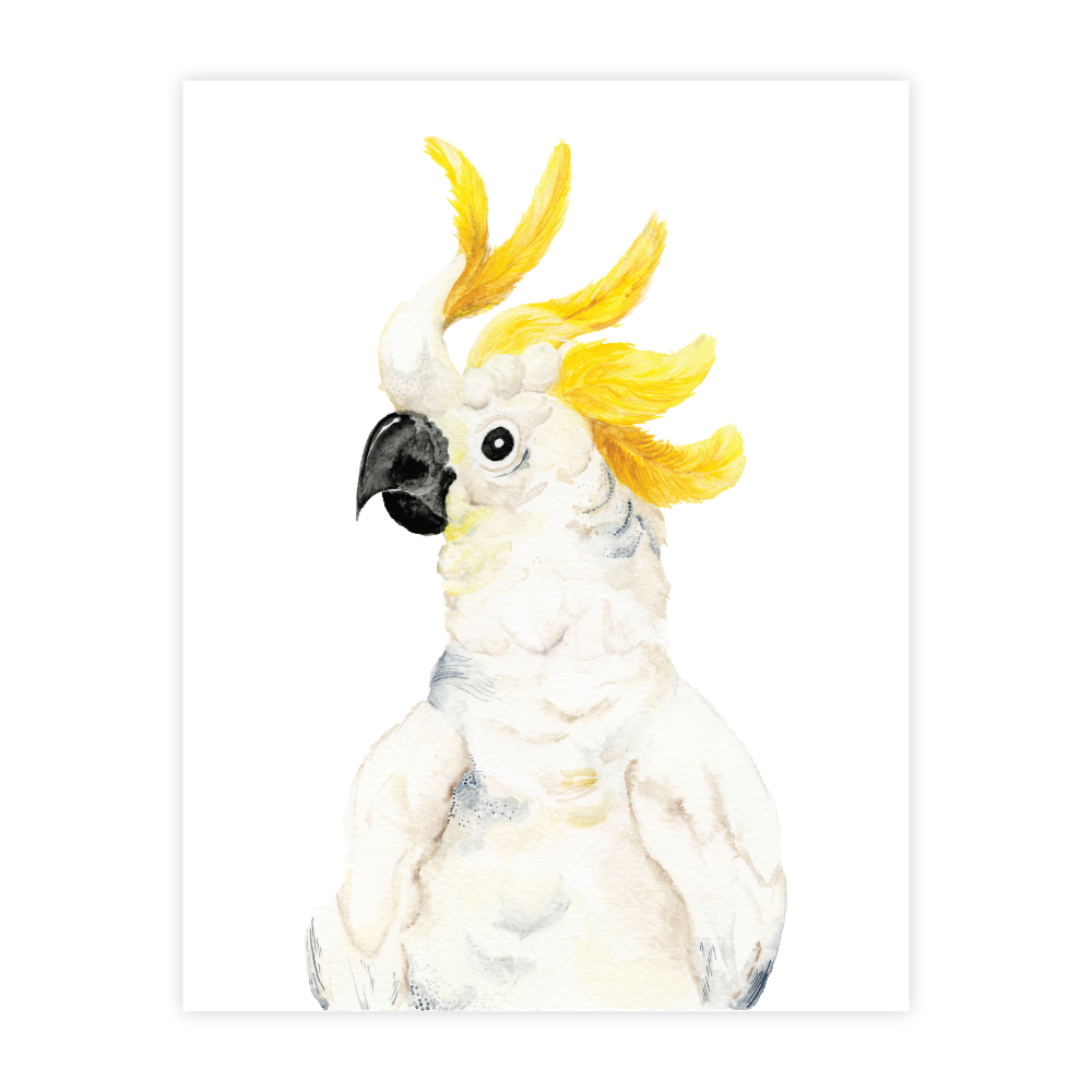 Stanley the Cockatoo - Image 2