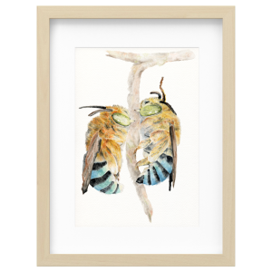 Bees
