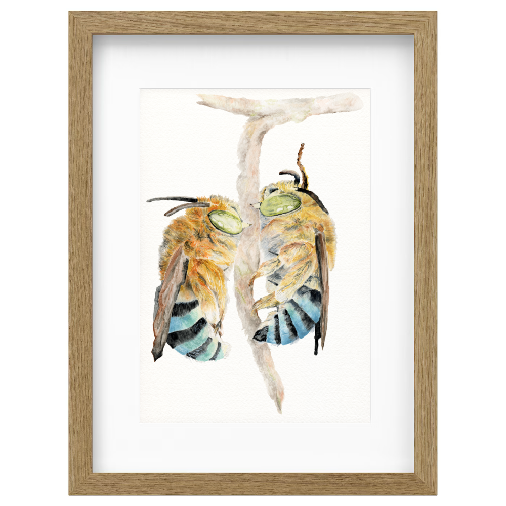 Bees - Image 3