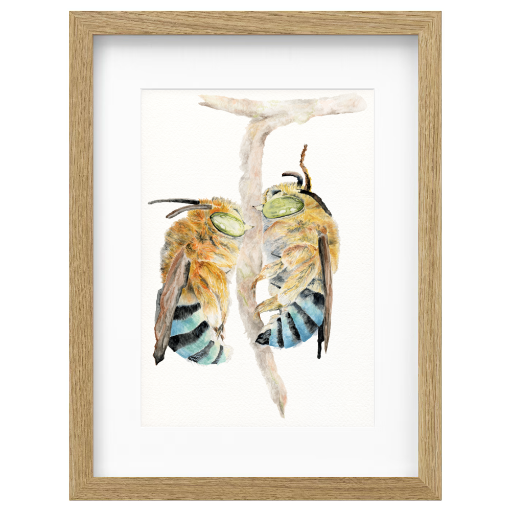 Bees - Image 4