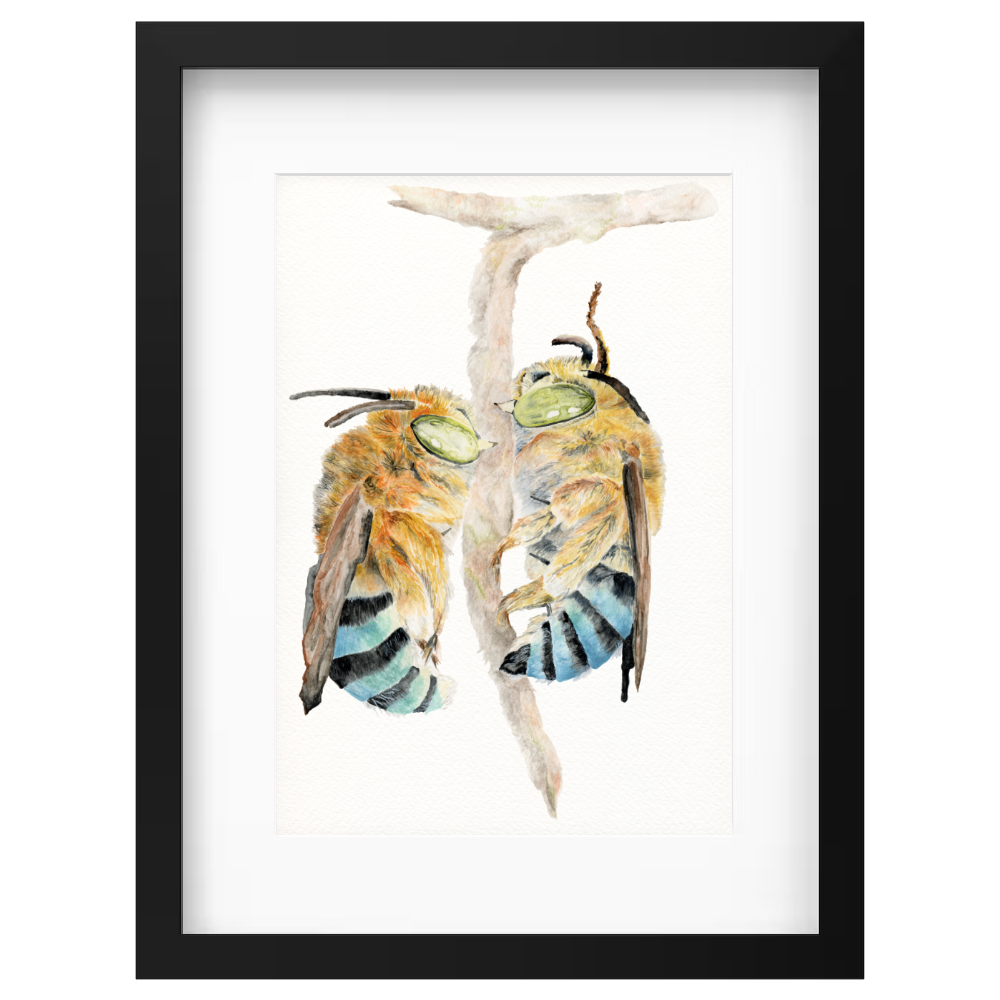 Bees - Image 5