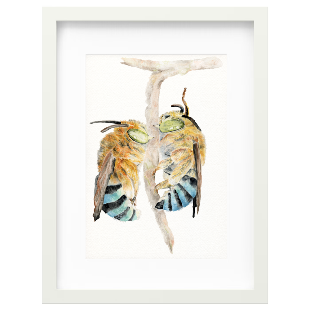 Bees - Image 6