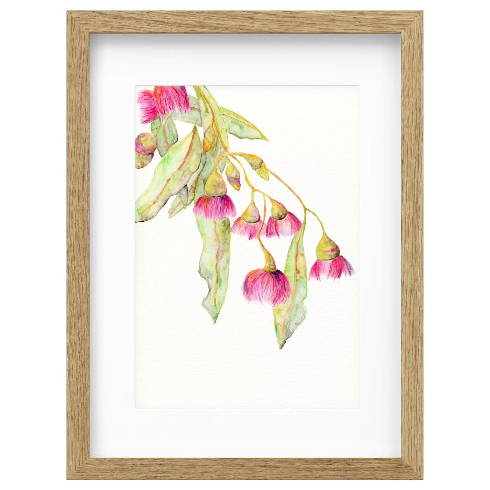 Flowering Gum 2 - Image 4