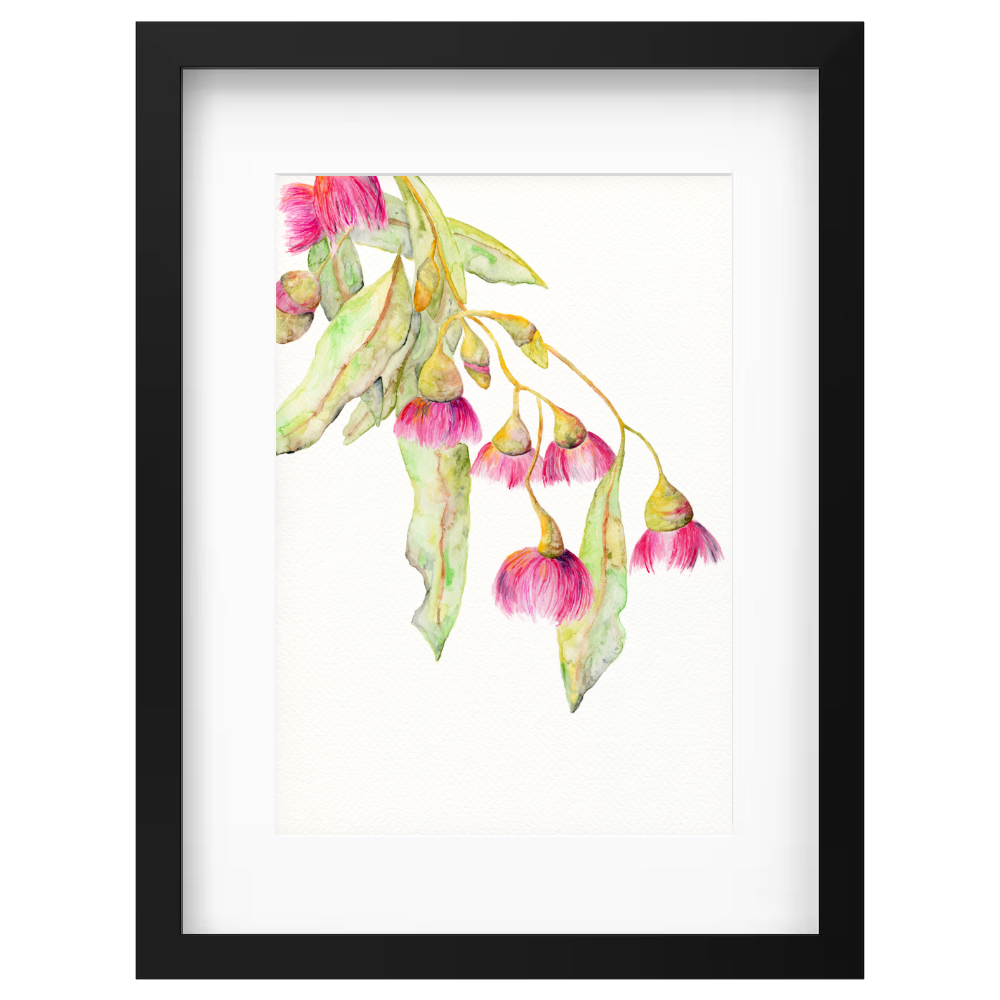 Flowering Gum 2 - Image 5