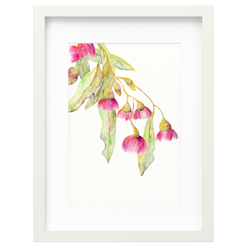 Flowering Gum 2 - Image 6