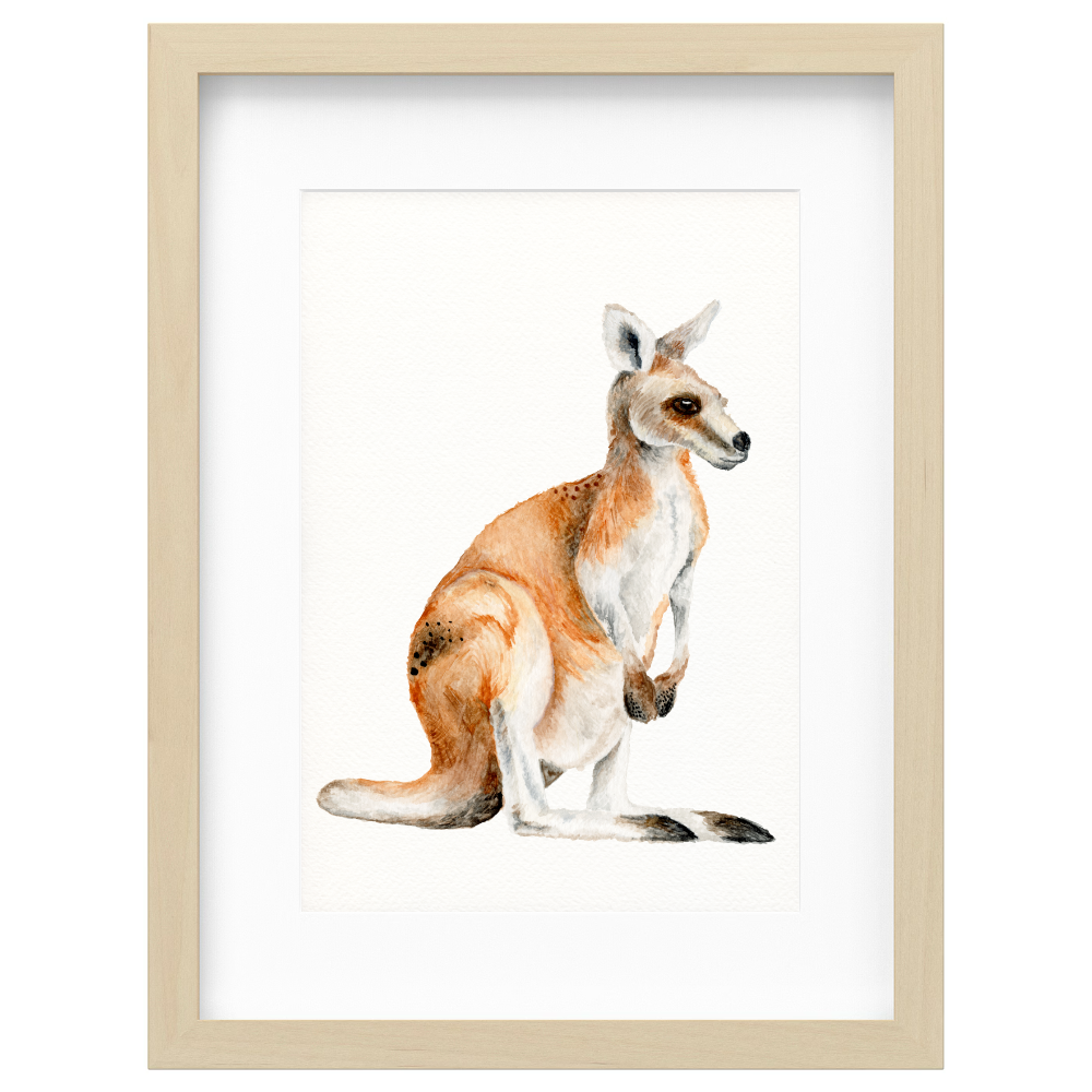 Kangaroo