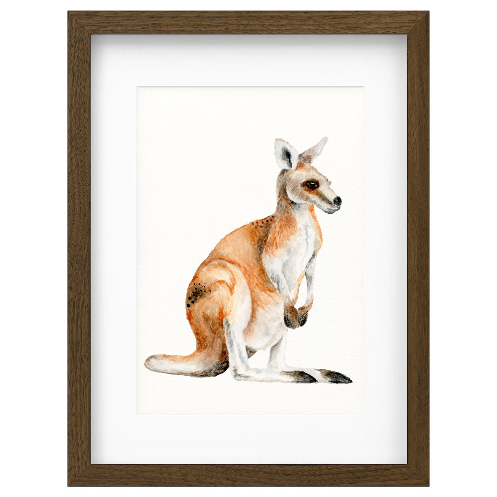 Kangaroo - Image 3