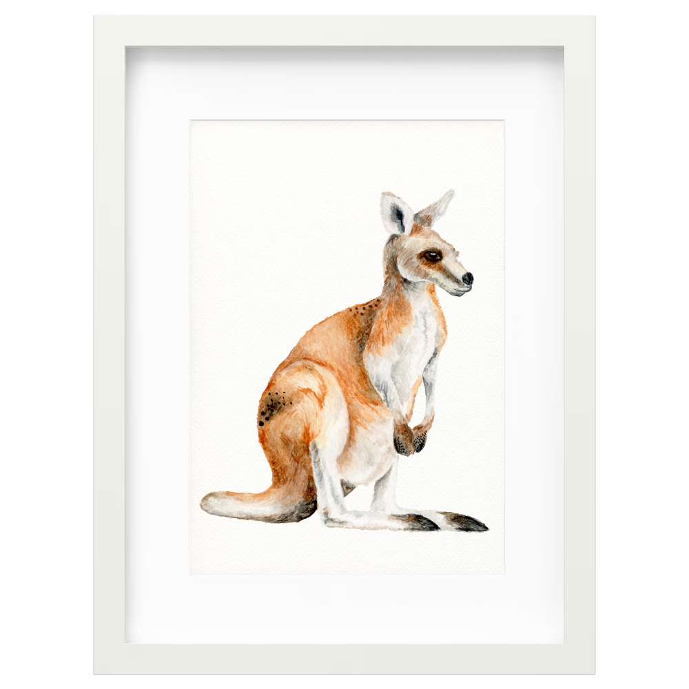 Kangaroo - Image 6