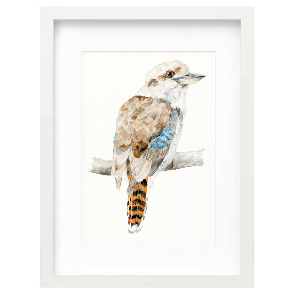 Kookaburra - Image 6